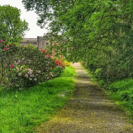 Bed & Breakfast Niblick