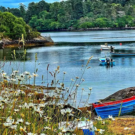 Niblick Bantry